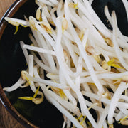 beansprouts phomo